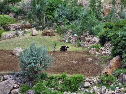 Na cestě z Dušanbe do Chorogu - hranice mezi Tádžikistánem a Afghánistánem (3)
